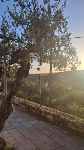 Foto Cottage Meraki