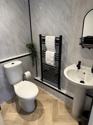 a bathroom with a white toilet and a sink at Towerknowe in Hawick