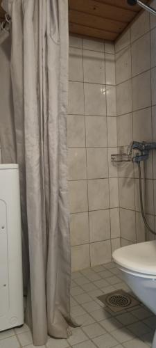 a bathroom with a shower curtain and a toilet at Sackle's place in Pori