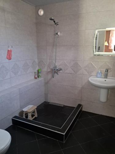 a bathroom with a shower with a scale on the floor at Guest House Ucha in Mtskheta