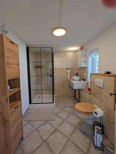 a bathroom with a shower and a toilet and a sink at Ferienwohnung Natursjæl in Tielen