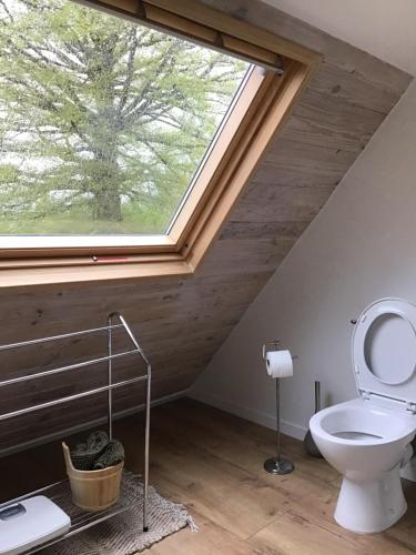 a bathroom with a toilet and a large window at La poésie de l'instant in Bétête