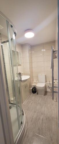 a bathroom with a shower and a toilet and a sink at Alexandra Hotel in Eastbourne