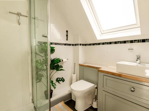 a bathroom with a toilet and a shower and a sink at Sun Set House With Hot Tub in Witchford