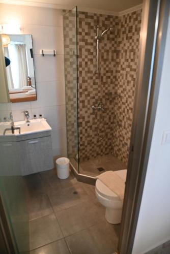 a bathroom with a shower and a toilet and a sink at stelisia2 in Chania