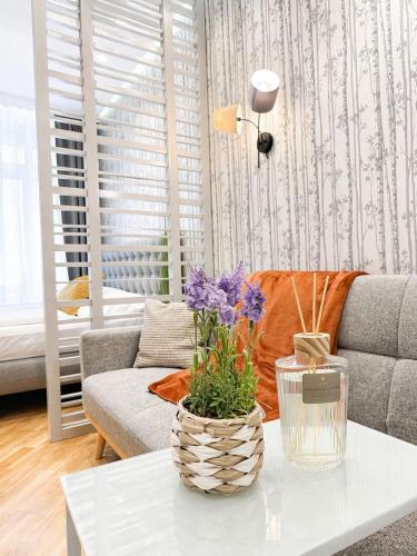 ZEUS Design Apartments Wasserwelt