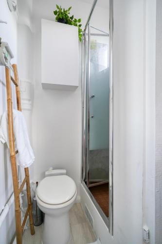 Terrace And Comfort – Austerlitz