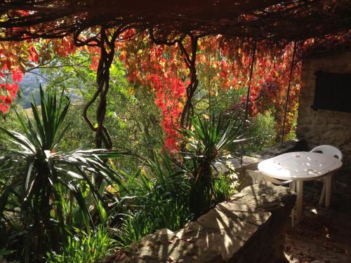 a garden with a white table and red flowers at Cal Xeco in Montsonis