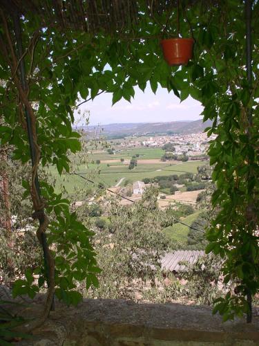 a view of a field from under a tree at Cal Xeco en Montsonis, da la bienvenida a tu mascota in Montsonis