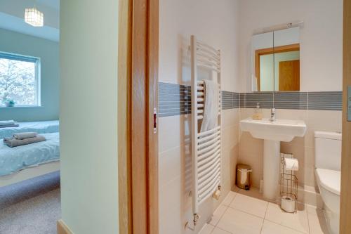 a bathroom with a sink and a toilet at Squirrels Leap Lake Views with Spa Access, Lower Mill Estate in Somerford Keynes