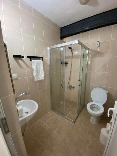 a bathroom with a shower and a toilet and a sink at kastro konak in Gokceada Town