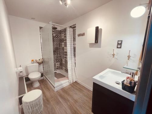 a bathroom with a shower and a toilet and a sink at Villa des Sarcelles in Le Crotoy