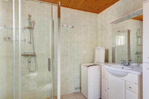 a bathroom with a shower and a sink and a shower at Gîte La Chapelière in Assay