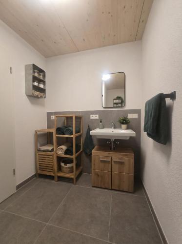 a bathroom with a sink and a mirror at Bodensee Living Ferienwohnung Wald in Wald