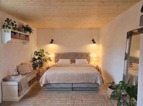 a bedroom with a large bed and a mirror at Bodensee Living Ferienwohnung Wald in Wald