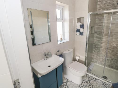 a bathroom with a toilet and a sink and a shower at Red House in Galway