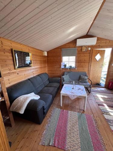 a living room with a couch and a table at Cabin at the Gate to Österlen in Degeberga