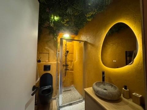 a bathroom with a shower with a stone sink at Séjour Château Moderne avec Cinéma in Verberie