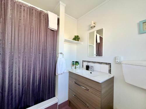 a bathroom with a sink and a shower curtain at Mt Dobson Motel in Kimbell