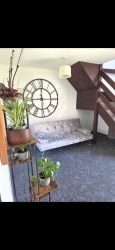 a room with potted plants and a clock on the wall at 49 Strawberry Hill in Hayle