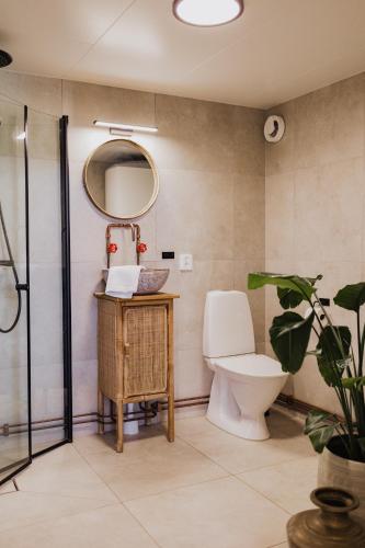 a bathroom with a toilet and a mirror at Longbeach Life in Falkenberg