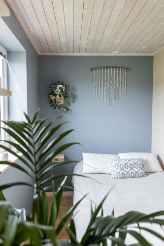 a bedroom with blue walls and a bed with a plant at Longbeach Life in Falkenberg