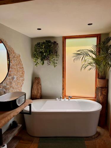 a bathroom with a large white tub and a plant at Spoor 2 met Wellness in Nieuwe Vaart