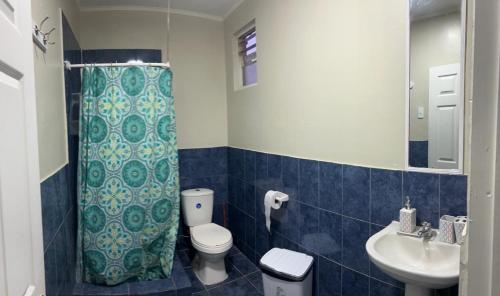 a bathroom with a toilet and a sink and a shower at Hostal sol del norte in Paipote