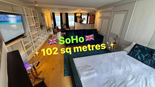 a living room with a couch and a tv at SoHo Elegant Apartment - West End 102 sq meters in London