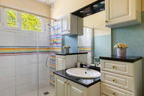 a bathroom with a sink and a shower at Gîte La Salamandre in Mosnes