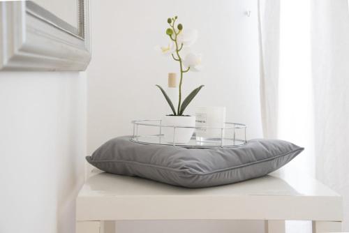 Santonofrio Apartments Silver e White