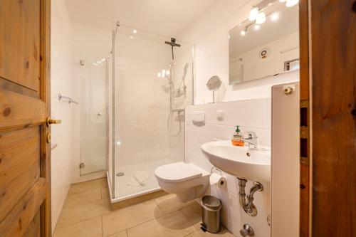 a bathroom with a toilet and a shower and a sink at Windrose 08 in Ahrenshoop