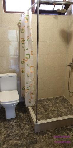 a bathroom with a toilet and a shower curtain at SHEKVETILI s in Kokotauri