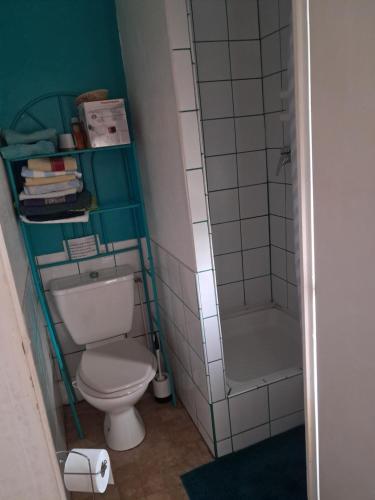 a small bathroom with a toilet and a shower at le gite d'Eliane in Masevaux