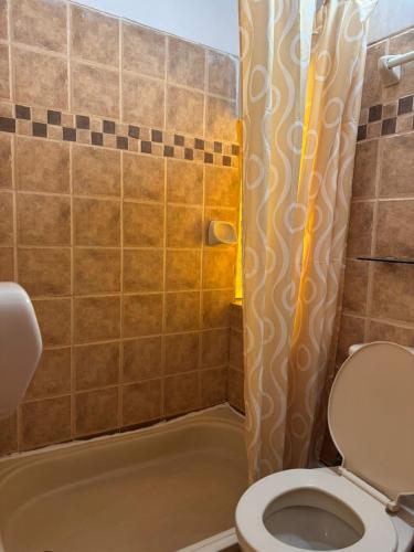 a bathroom with a toilet and a shower at ollanta lodge in Ollantaytambo