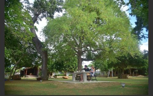 a man sitting at a table under a tree at Allure Yala Luxury Suites by Allure Leisure in Yala