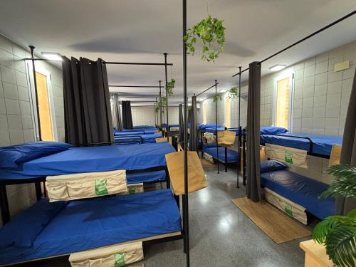 a row of bunk beds in a dorm room at CEAM Tabarca in Tabarca
