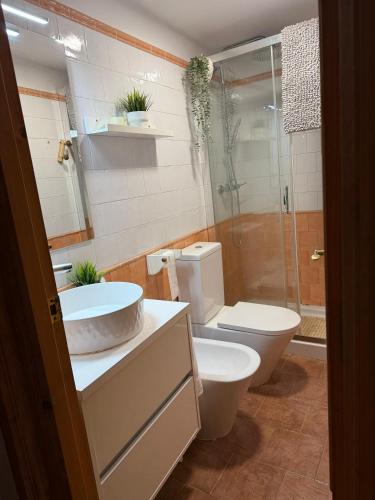a bathroom with a toilet and a sink and a shower at Casa Rural La Abejuela in Abejuela