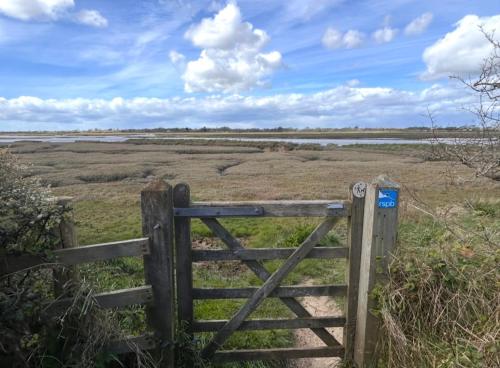a gate in a field with a fence at Charming Chamber with spacious relaxing area in Pagham