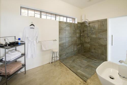 y baño con ducha y lavamanos. en Amberg Country Estate en Paarl