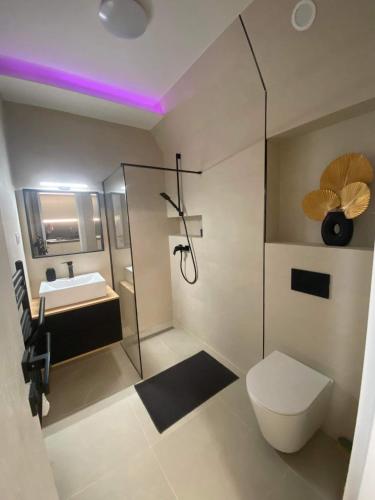 a bathroom with a shower and a toilet and a sink at LaMira 2,3 Apartments in Hajdúszoboszló