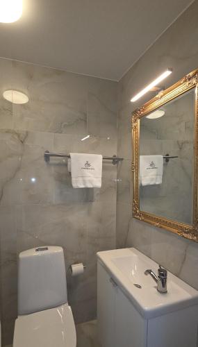 a bathroom with a white toilet and a mirror at Svaneholm Hotel in Svanskog