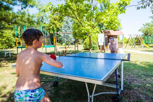 a young boy playing ping pong on a ping pong table at Les chalets de fiolles in Brens