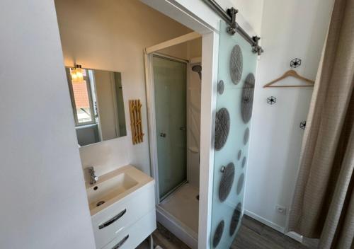 a bathroom with a sink and a shower and a mirror at Studio cosy Amiens in Amiens