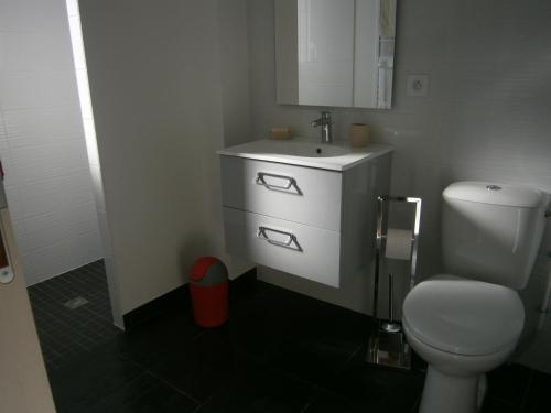 a bathroom with a white toilet and a sink at Chez Elisa in Chinon