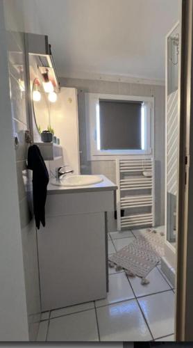 a bathroom with a sink and a mirror and a television at Bel appartement T2 avec jardin indépendant in Pérols