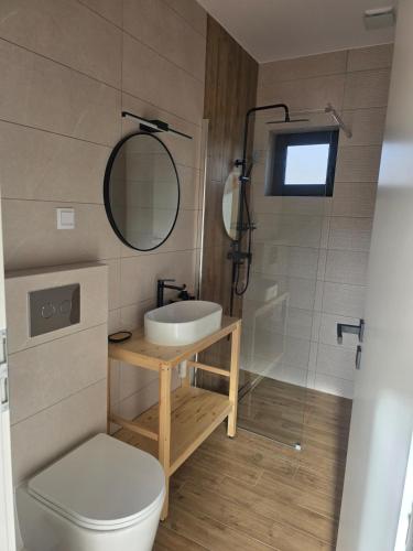 a bathroom with a toilet and a sink and a mirror at CabanaFriendly in Râşnov