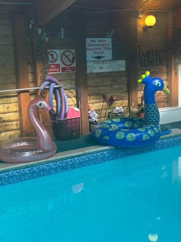 two toy animals sitting next to a swimming pool at Silverleigh Spa LTD in Fawkham