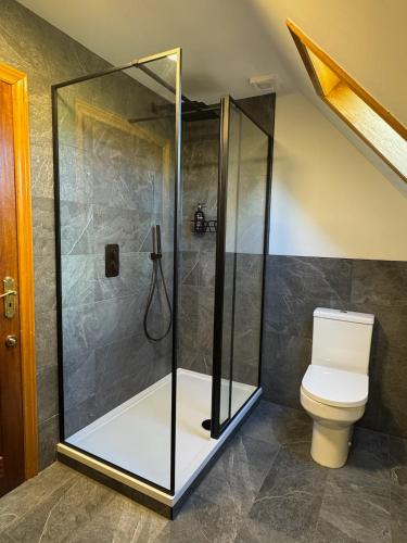 a bathroom with a shower and a toilet at Wallace Lodge in Crieff