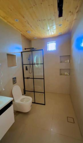 a white bathroom with a toilet and a sink at أكواخ الهدهد in Ajloun